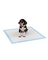 lionto Welpenunterlagen, 6-lagige Trainingspads für Hunde mit Klebestreifen, 50 Stück 60x60 cm, auslaufsicher und strapazierfähig Dank hoher Saugfähigkeit für kranke und inkontinente Tiere, blau/weiß