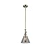Innovations 206-AB-G43-LED 1 Light Vintage Dimmable LED Mini Pendant, Antique Brass