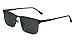 Eyeglasses FLEXON FLX 1006 MAG-SET 310 Matte Moss