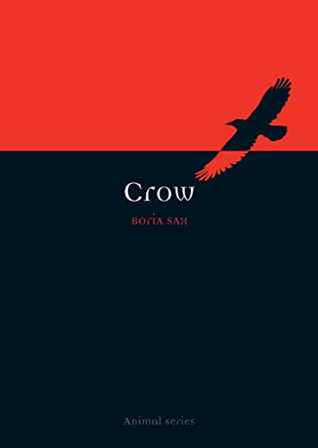 Crow (Animal)