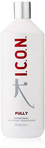 FULLY SHAMPOO 1000 ml