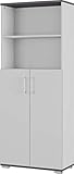 Germania Aktenschrank 4249-588 GW-Profi, in Lichtgrau/Graphit, mit Metallgriffen, 80 x 200 x 40 cm (BxHxT)