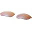Prizm Shallow Water Polarized