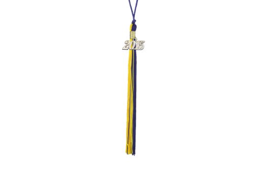 Purple & Gold Graduation Tassel with Gold 2015 Year Charm