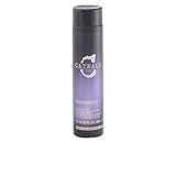TIGI Catwalk Fashionista Shampoo for Unisex, Violet, 10.14 Ounce