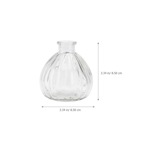 Jarrón de cristal transparente para flores secas y decoración moderna 3