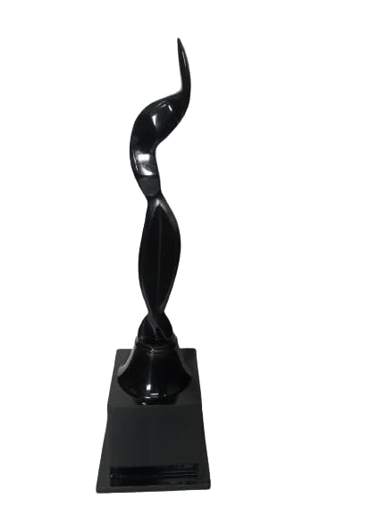 Rainy Forest Trophy Black Lady for Film Fair Awards,& Best Actor Awards Celebration, Sports, Event & Functions, S 435 (12 inch) (B098DL1S1M) Amazon Price History, Amazon Price Tracker