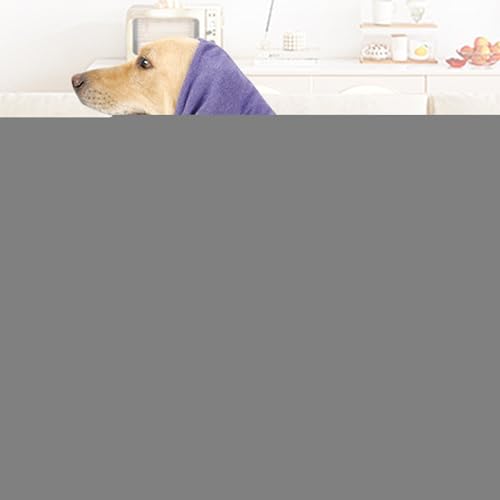 pJo[,pJo[ - pJo[oC[}t | h~AXgXpybgt[hACO[~OpXJ[t