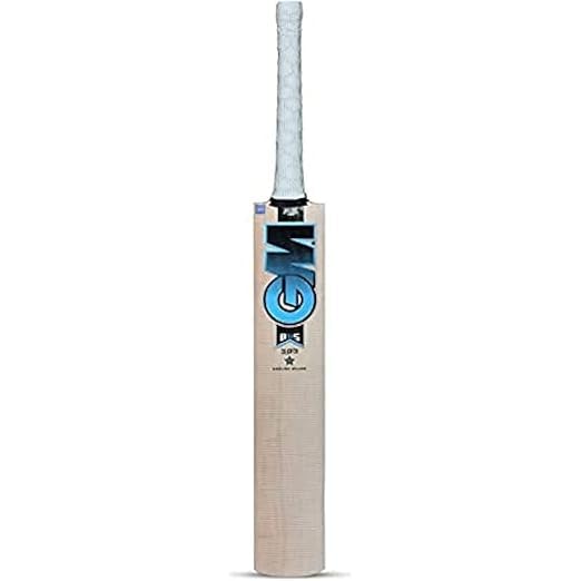 GM Diamond 303 English Willow Cricket Bat for Men (1100-1200g) (B0CX17T193) Amazon Price History, Amazon Price Tracker