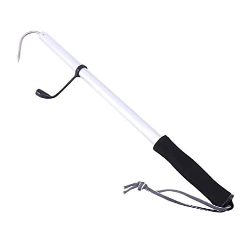 Bicheiro Retrátil Telescópico Cabo Eva Caiaque Aluminio Inox Pega Peixe 120cm e 60cm (Prata, 120cm)