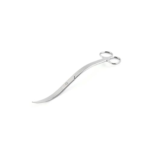  g~O S nT~ XeX| كg~OnT~ g^  ϗtA ~   g~O nT~ O TCY | c[ ANAE Mы ANAE eiX eiX g^ S 25cm (si