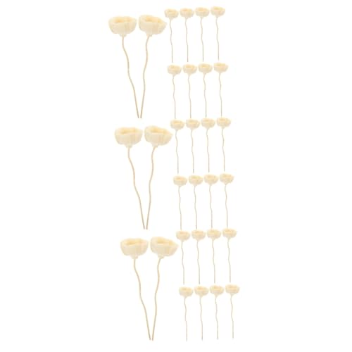 Hemobllo 30pcs Diffuser Sticks para Aromaterapia