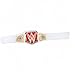 WWE RAW Women's Championship Toy Title Belt Gold