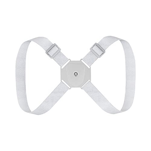 CeWFgZT[U}C_[߉\ȃobNu[XT|[gX}[gjqpT|[gu[X (F : {bNXȂATCY : (t) Full of stars