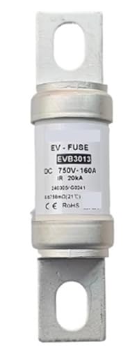 Fusible EVN5019 300A DC250V cartouche de protection électrique pour armoire basse tension