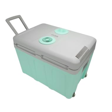 INCASA - Refrigerador termoeléctrico 40L mantiene frío o caliente, color verde y azul
