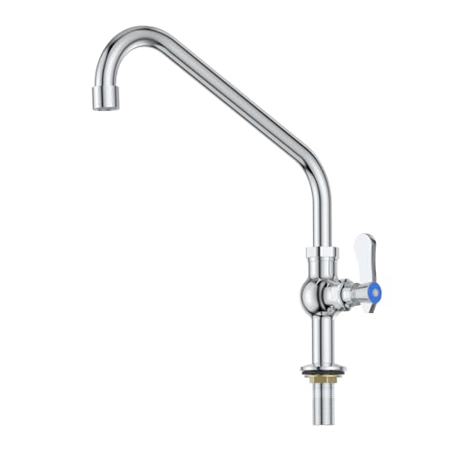 iVIGA Single Hole Cold Water Faucet: 10