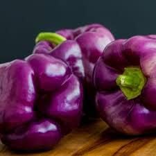 U-grow India Bell Pepper Purple (Shimla Mirch) Seeds (B08YJXSSSD) Amazon Price History, Amazon Price Tracker