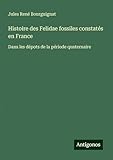 Histoire des Felidae fossiles constatés en France: Dans les dépots de la période quaternaire