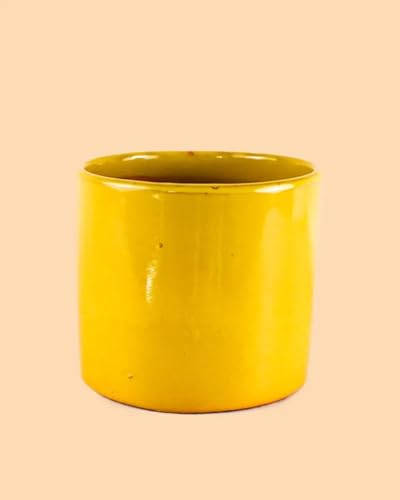 Pur Plant Maceta Mostaza L | Terracota Esmaltada