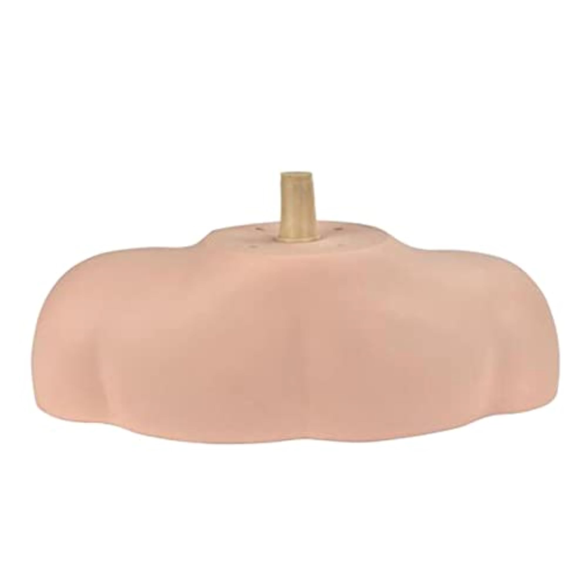 Cosmetology Makeup Mannequin Holder Shoulder Display Bust Base