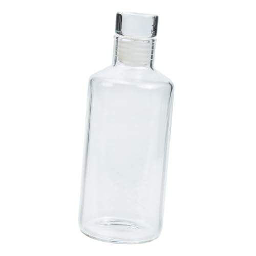 HOLIDYOYO Carafe Clear Container Outdoor Milk Bottles Milk Bottles with Caps Empty Containers Refillable Beverage Bottle Beer Bottles Juice Bottles Practical Milk Bottles Glass Transparent