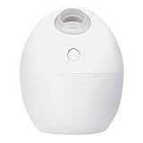 グリーンハウス たまご形 卓上 静音 USB加湿器 超音波式 GH-UMSEJ-WH