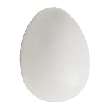 Lot de 12 œufs de pigeons artificiels en plastique - Léger - Petite taille - Pratique pour l'élevage de pigeons