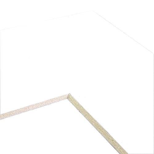 Craig Frames B222 Pre-Cut Mat Board for 16x24 Print, 20x30, Smooth White