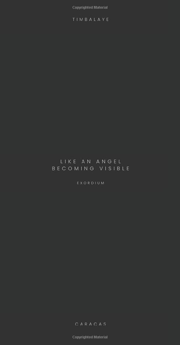 Like an angel becoming visible (The revelation of the feminine)