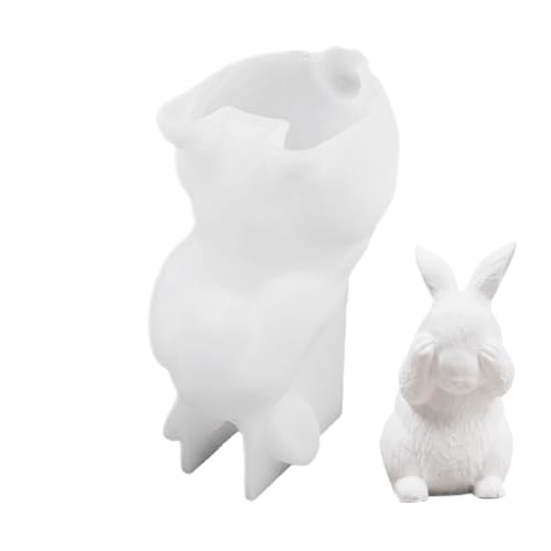 Molde de conejo de Pascua, molde de silicona con figura de conejo de Pascua, molde de yeso para principiantes, ideal para principiantes, para chocolate, postres