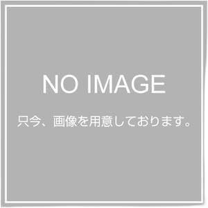 Super Tool GTN12 Bolt Nut for 6P/GT