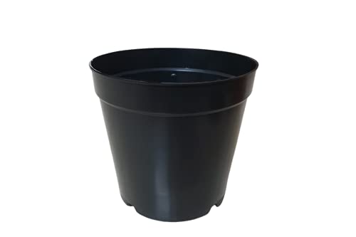 Image of Naturally Green Unique Drainage System Nursery Pots with Multi Holes for Balcony Terrace Plants Pack of (4 inch, 20)
