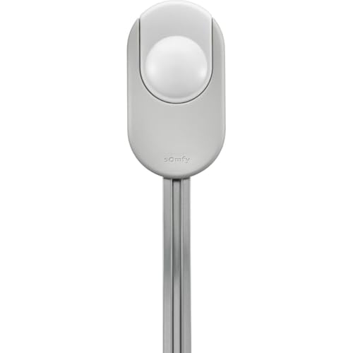 Preisvergleich Produktbild Dexxo Smart 1000 io SOMFY 1241568