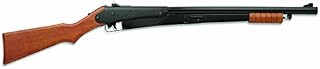 Daisy Outdoor Products 25 Pump Gun (Brown/Black, 36.5 Inch)