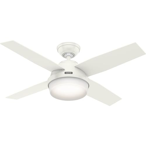 Hunter Indoor Dempsey Ceiling Fan With Light