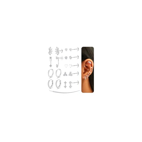 Adramata Pendientes para Mujer Acero Inoxidable Piercing Oreja Empuje Sin Rosca Hipoalergénico Pendientes Aro Chapados en Oro/Plata Nariz Labret Cartílago Conch Piercings Helix Piercing Tragus