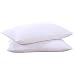 puredown Natural Goose Down Feather White Pillow Inserts, 100% Egyptian Cotton Fabric Cover Bed Pillows, Set of 2 Queen Size
