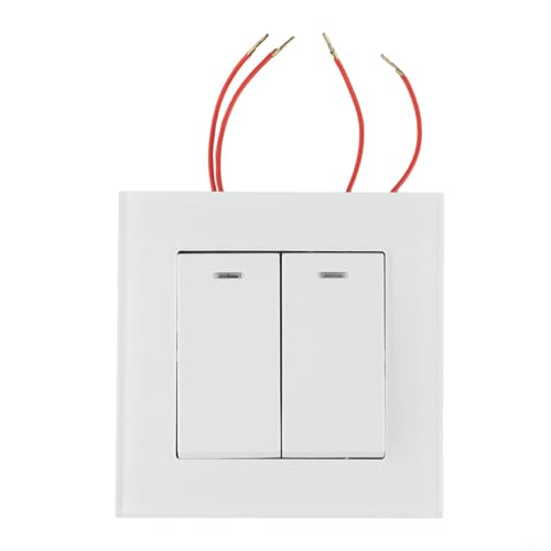 babominimer Panneau en verre trempé de 208,3 cm, interrupteur double voie 82 x 82 mm avec indicateur lumineux, convient pour les chambres à coucher (blanc)