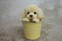 Amazon.co.jp: NE-NE 羊毛フェルト 犬 トイプードル クリーム