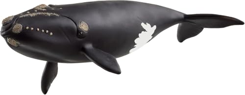 schleich 14878 Ballena franca glacial, a partir de 3 años, WILD LIFE - figura, 10 x 19 x 5 cm