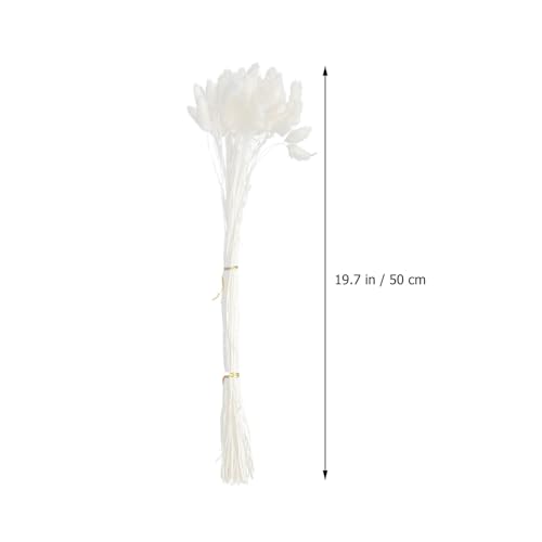 Ramo de Flores Secas Cola de Conejo Blanco 50 Tallos miniatura 2