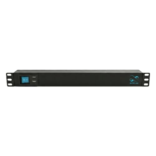 Infitronic INSV1006 19 Zoll PDU 1HE, 8-Fach Steckdosenleiste mit 8X Rückseitigen Dosen, 2X USB-A Front-Charging, Stromverteiler inkl. LED Schwanenhalslampe, 3680W 16A, Aluminiumgehäuse Schwarz