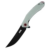 CJRB Folding Pocket Knife with AR-RPM9 Steel Blade and G10 Handle for Men Outdoor, Camping Gobi(J1906B) Natural Green