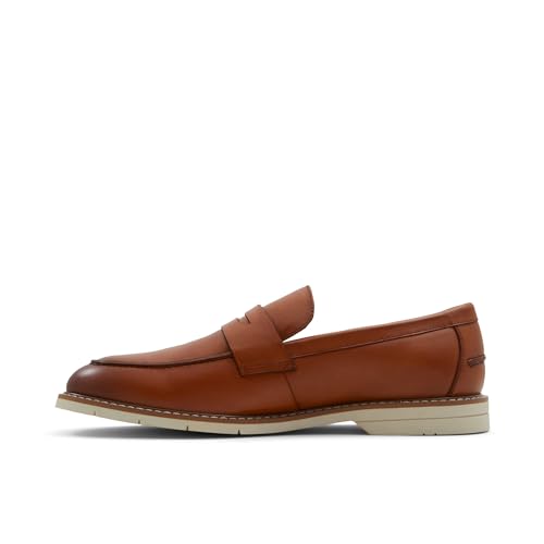 ALDO Men's Zadar Loafer