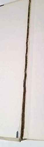 Grandma Moses By Otto Kallir 0810901668 Book Cover