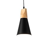 HAIDU Pantalla colgante de metal minimalista japonesa, lámpara de araña de un solo cabezal con base E27, accesorios de iluminación de montaje empotrado, dormitorio, isla de cocina, bar, lámpara colga