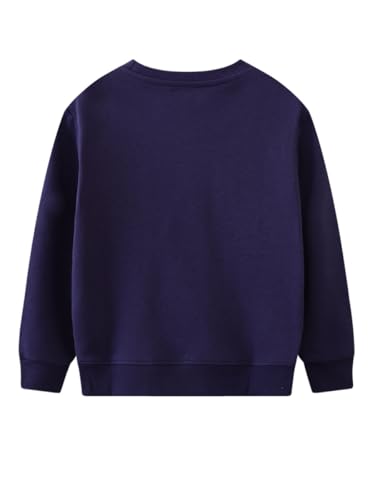 Boys Sweatshirts Casual Sweatshirts Cotton Sweatshirts Long Sleeve T-shirts Crew Neck Cartoon Tops for Boys-5472