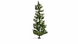 NOCH® Árbol de Madera de Abeto Realista de 19 cm de Alto para maquetas de ferrocarril H0, TT, N, Z, Ideal para dioramas y maquetas, así como para Manualidades, decoración y Bricolaje