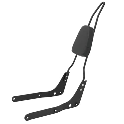 Coussin dossier de moto pour Shadow Aero VT 750 de 2004 à 2022